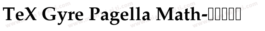 TeX Gyre Pagella Math字体转换